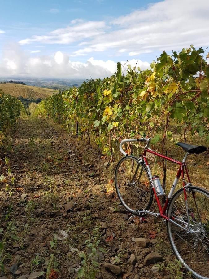 Ferienwohnung "La Casa Di Maria Luce" Con Terrazza Panoramica Gaiole in Chianti Exterior foto